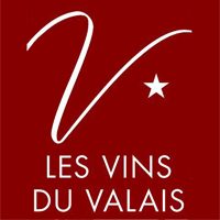 Logo IVV carré